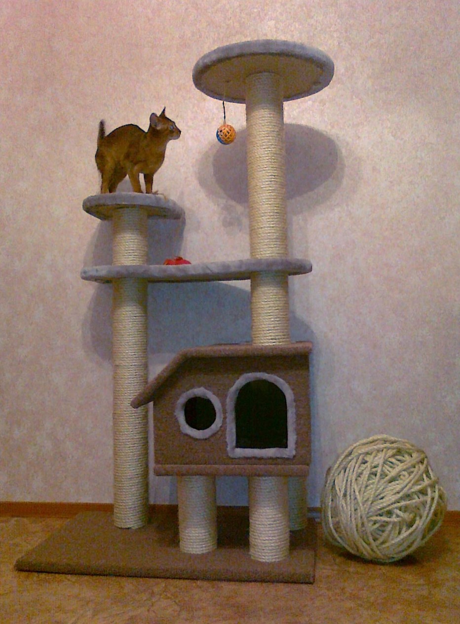 Кошкин дом кошка