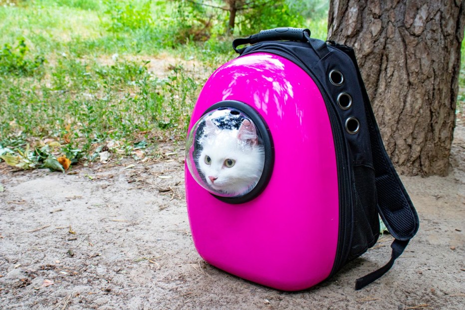 Рюкзак-переноска с иллюминатором для кошек. Cat Bag with Porthole