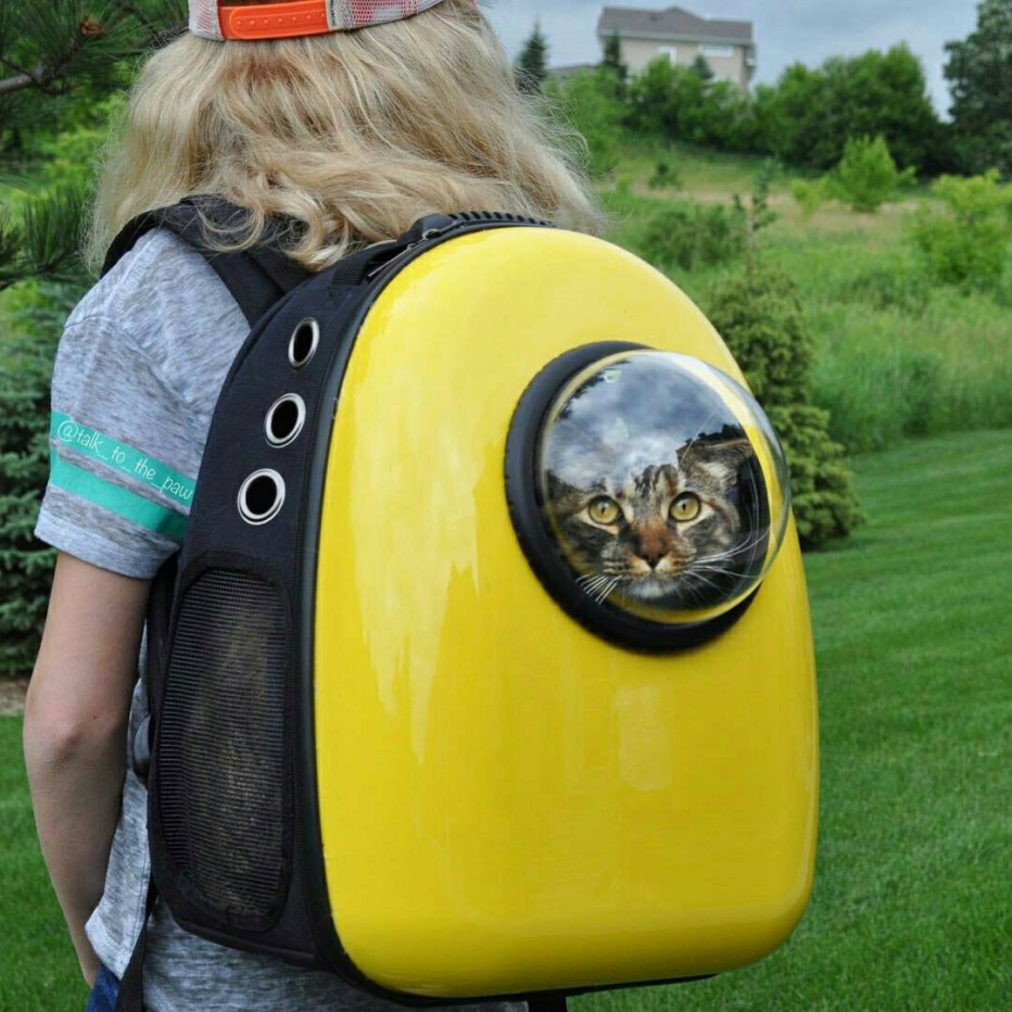 Рюкзак котики