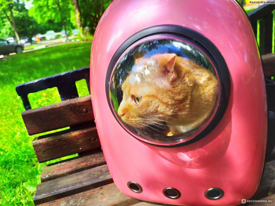 Рюкзак для животных Space Pets