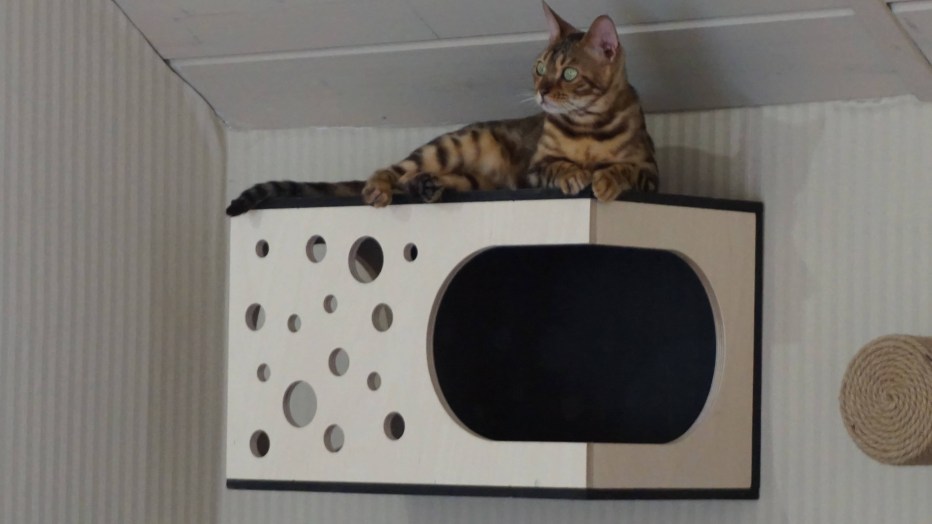 Как сделать двухэтажные домики для кошки из коробок