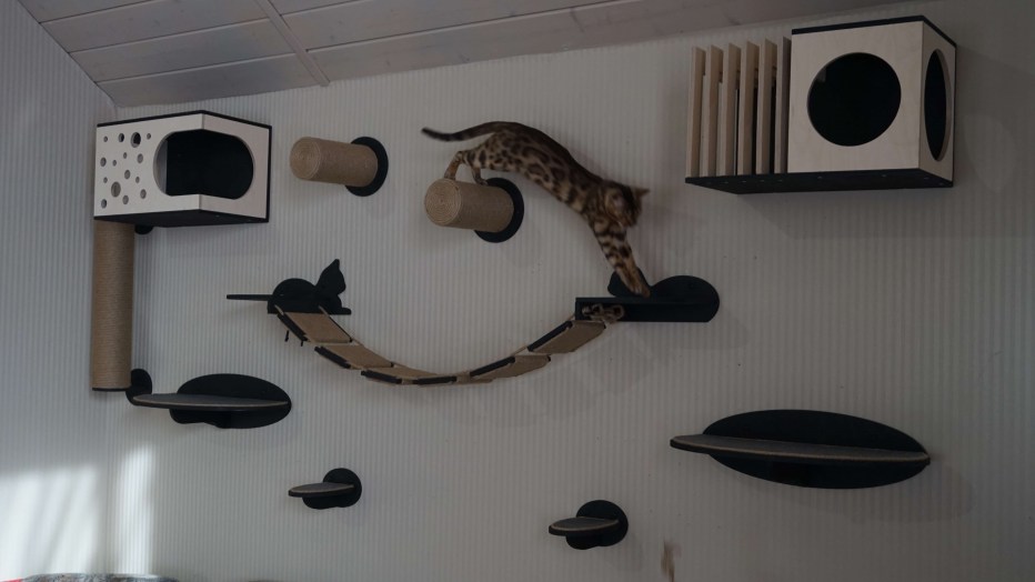 Кошачий домик на стене