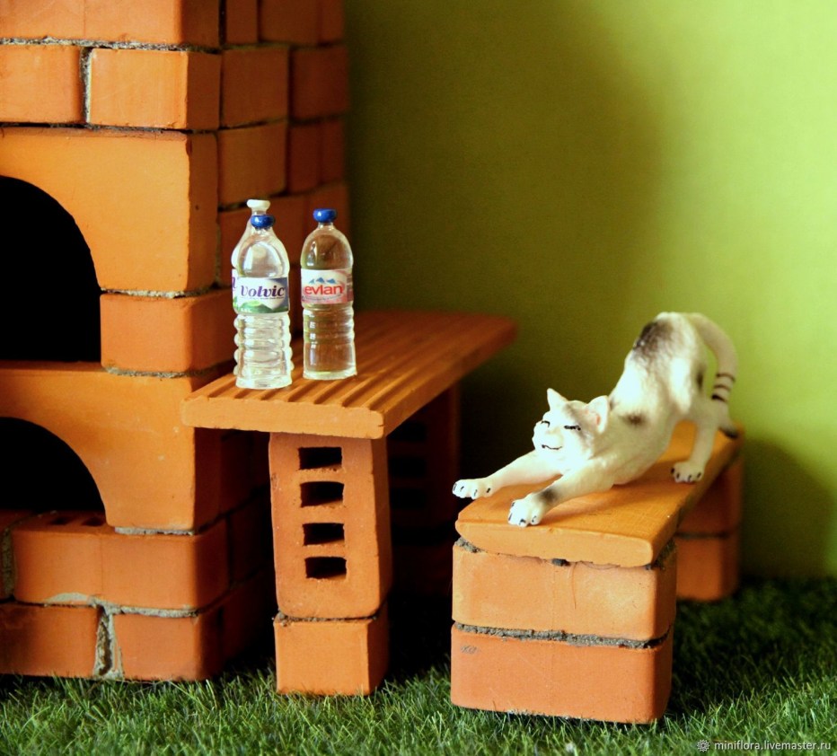 Ликвой кот