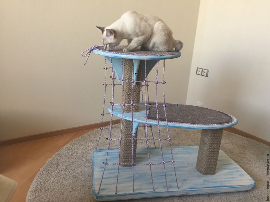Уголок для кота в квартире