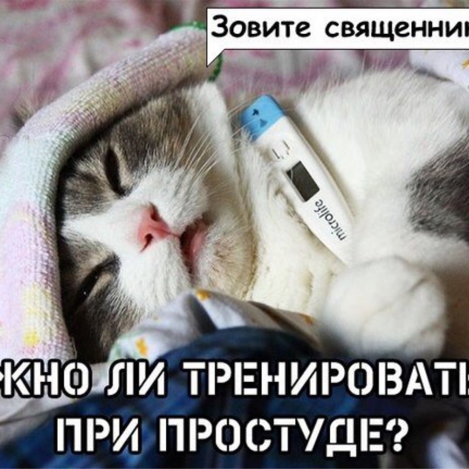 Статус простыла
