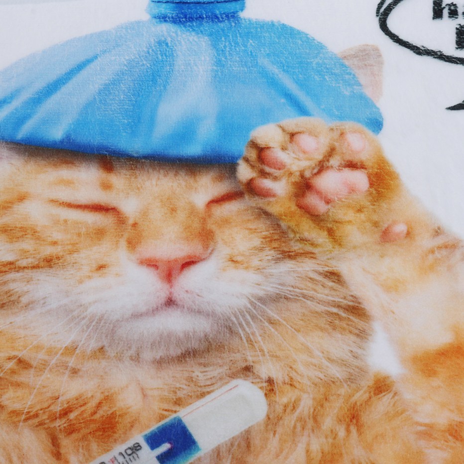 Котейки с градусником