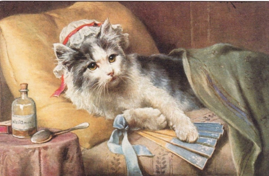 Котик с градусником