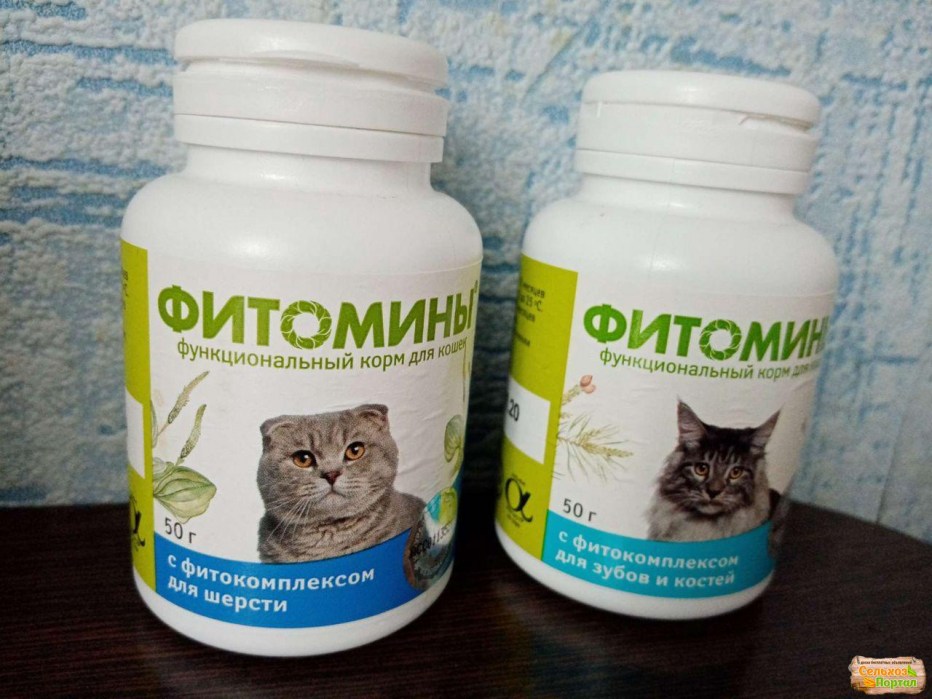Роял Канин Бритиш Кэт