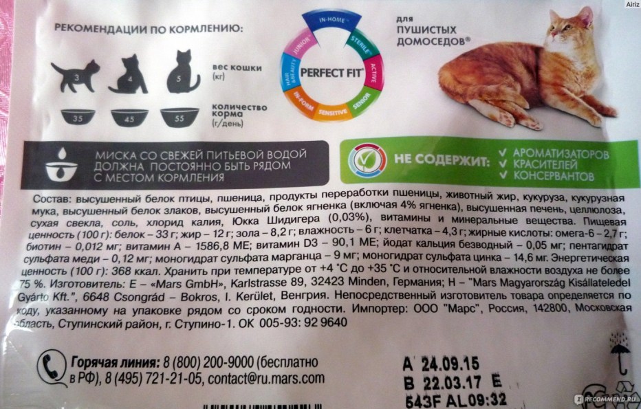 Сфинкс 4 месяца
