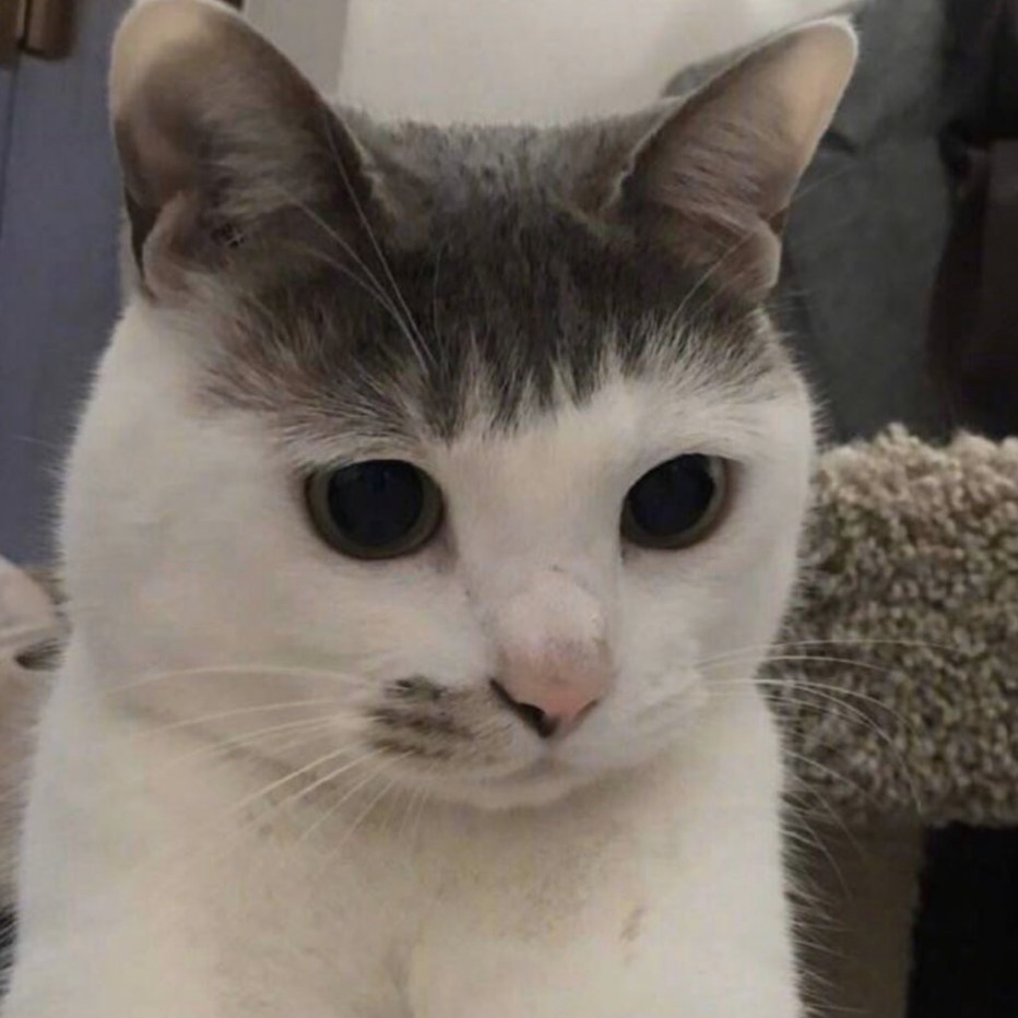 Звук кота