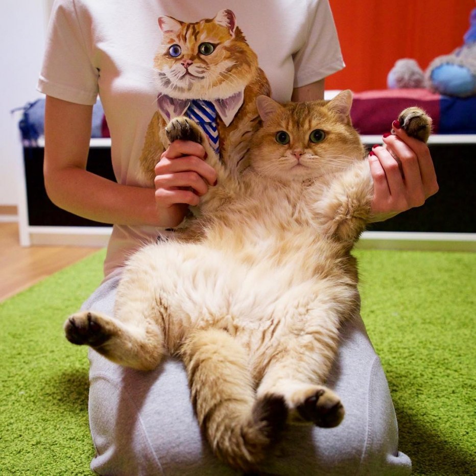 Котик в круге