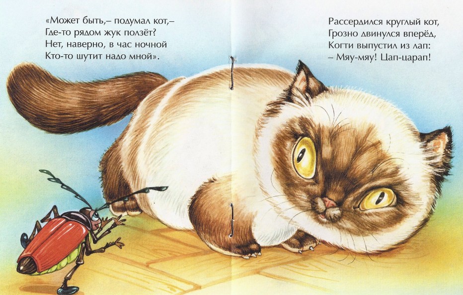Круглый кот летит