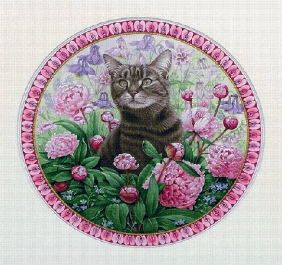 Котик в круге