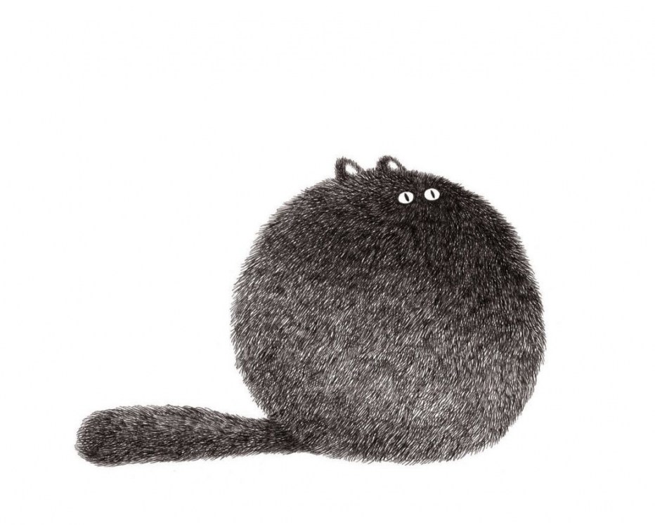 Котики в кружочках