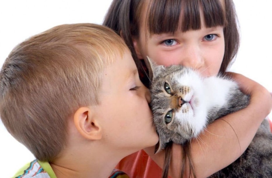 Коты и дети