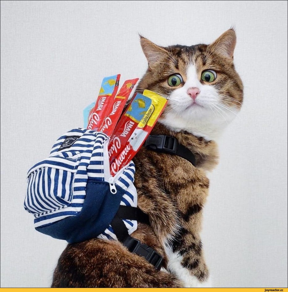 Рюкзак "кошка"