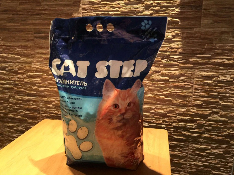 Разноцветный кот
