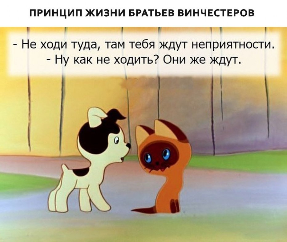 Котенок по имени Гав и собачка