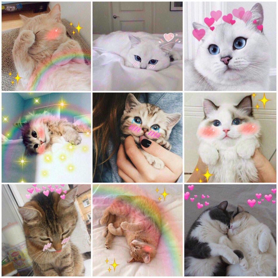 Милый котик с красными щечками