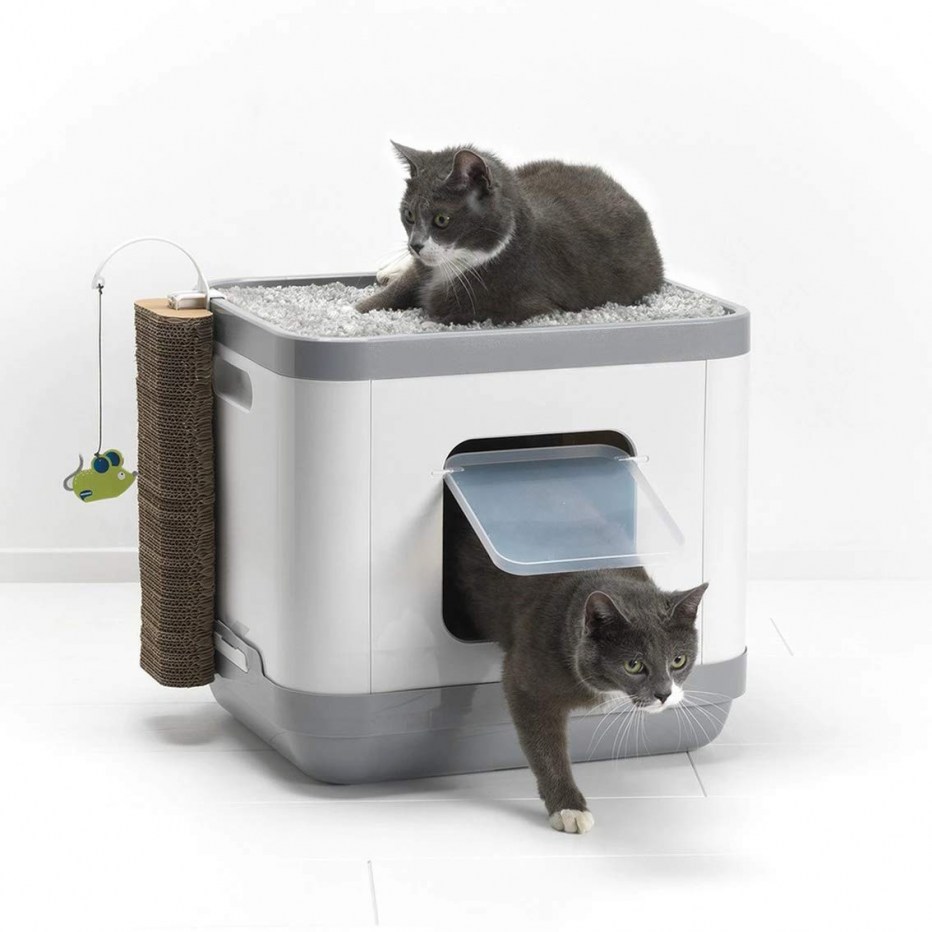 Moderna Cat Concept 4 в 1