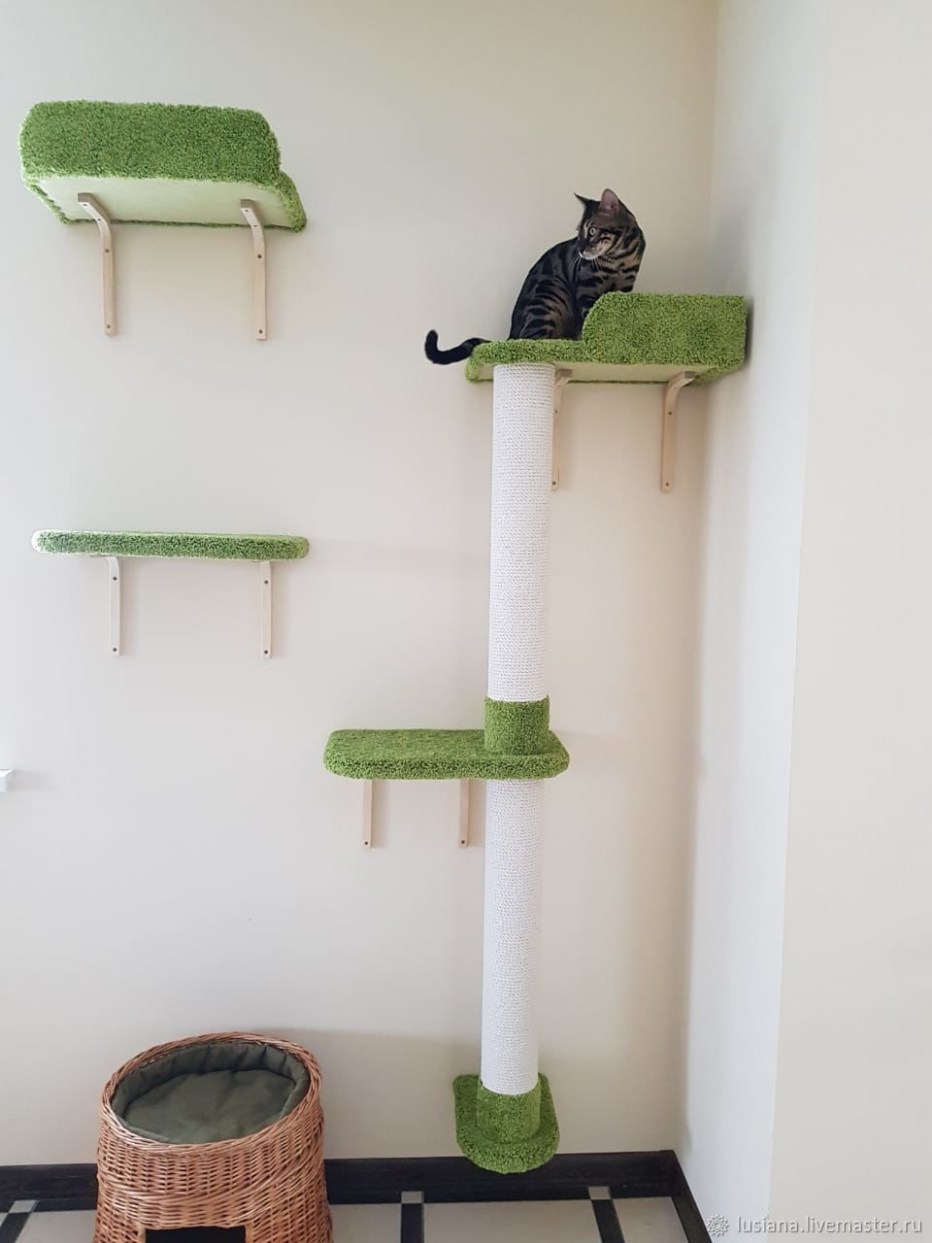 Кошачий домик лазалка