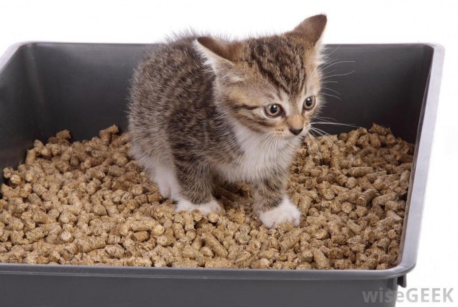 Наполнитель древесный "Клин Кэт" 10л, 5кг