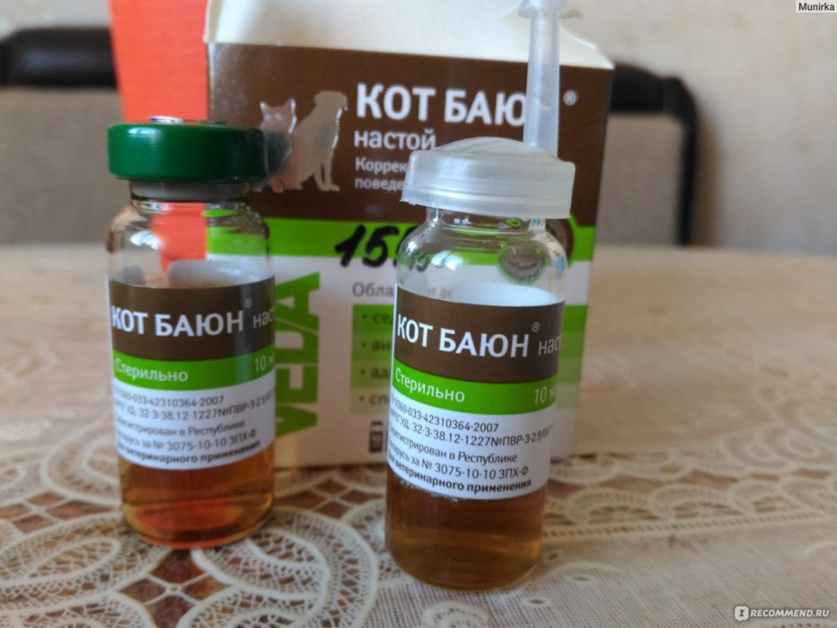 Кот Баюн жидкий