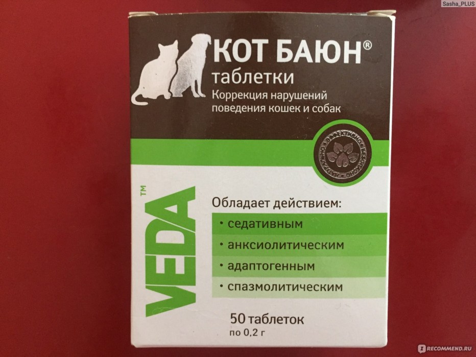 Успокоительные для кота при стрессе