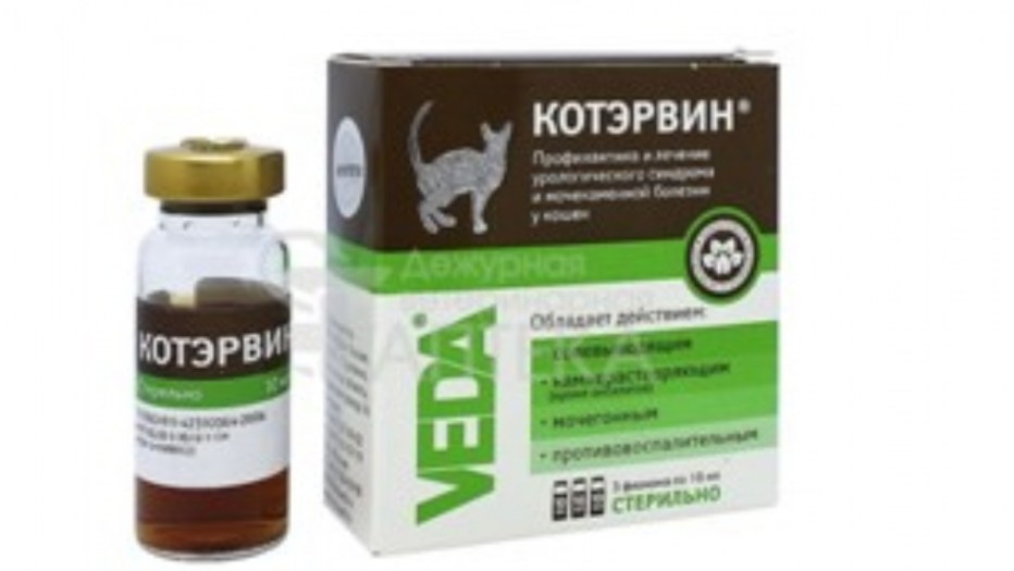 Усилитель кот Баюн