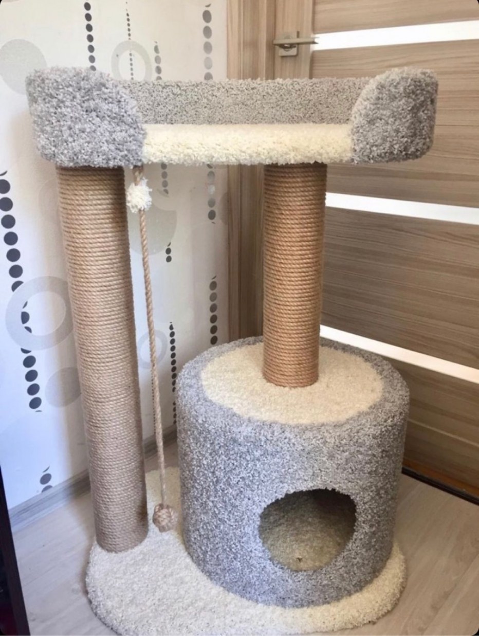 Кошачья когтеточка