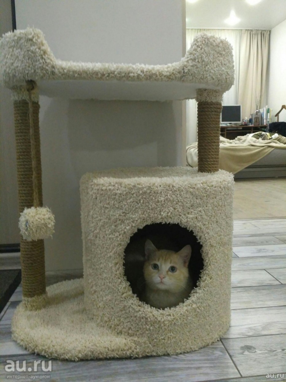 Когтеточка ИКМ-1
