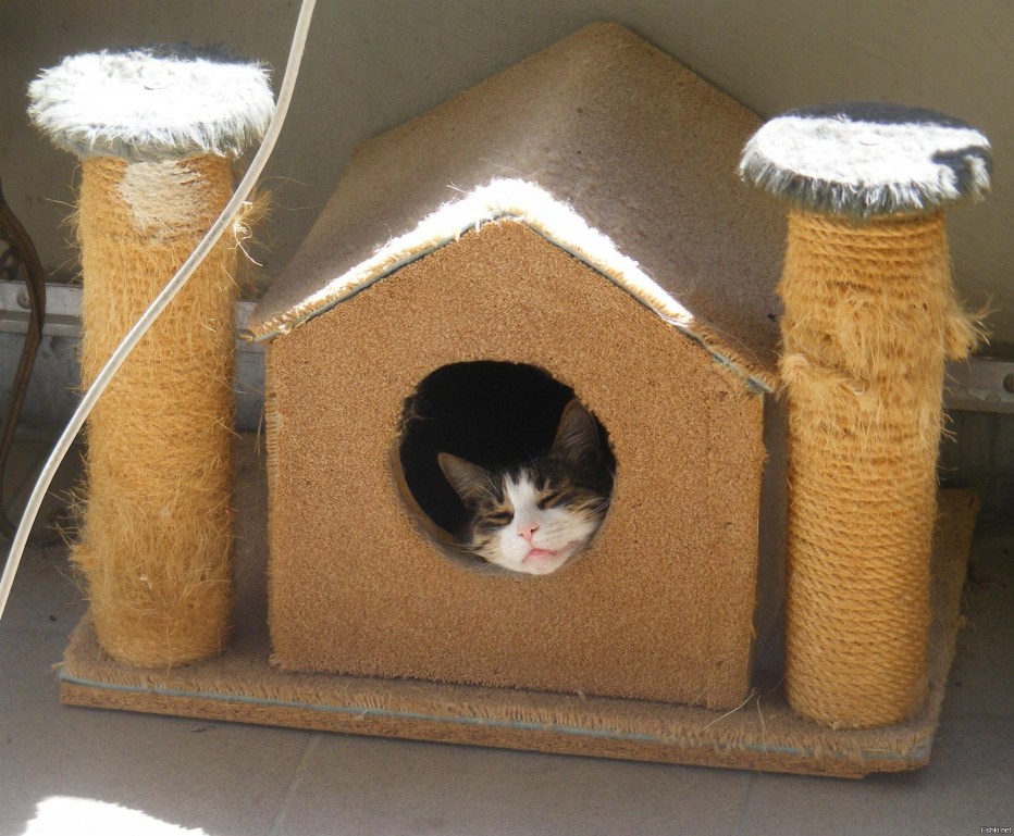 Самодельные домики для котят