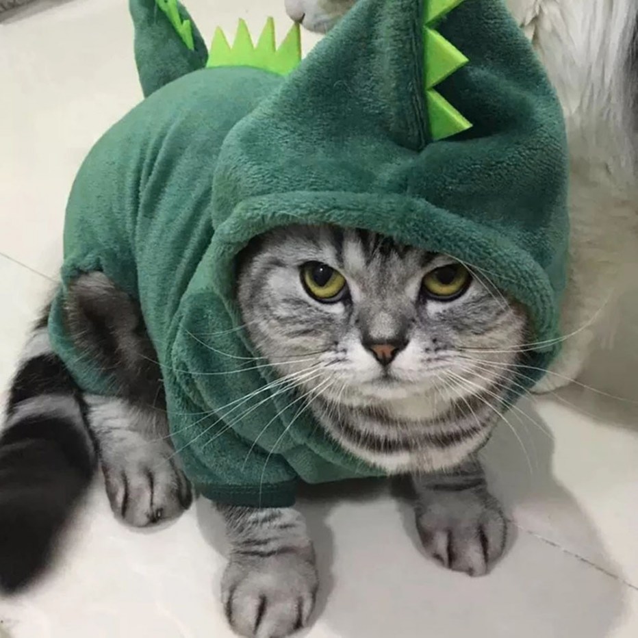 Костюм кошки