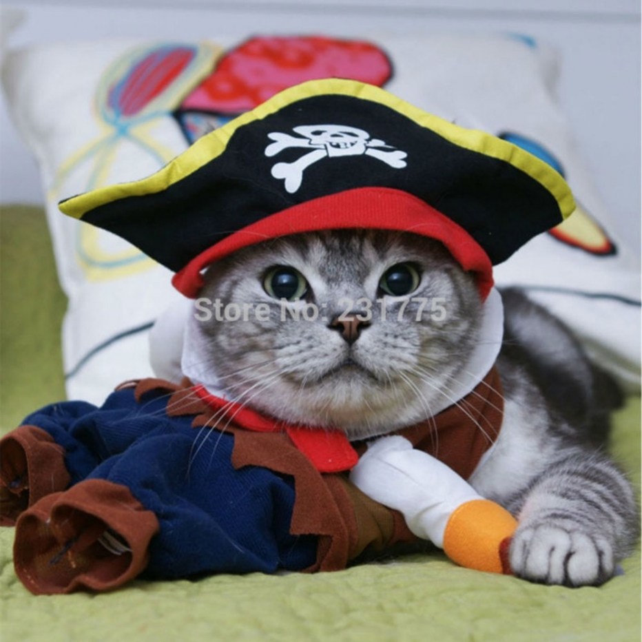 Костюм кошки