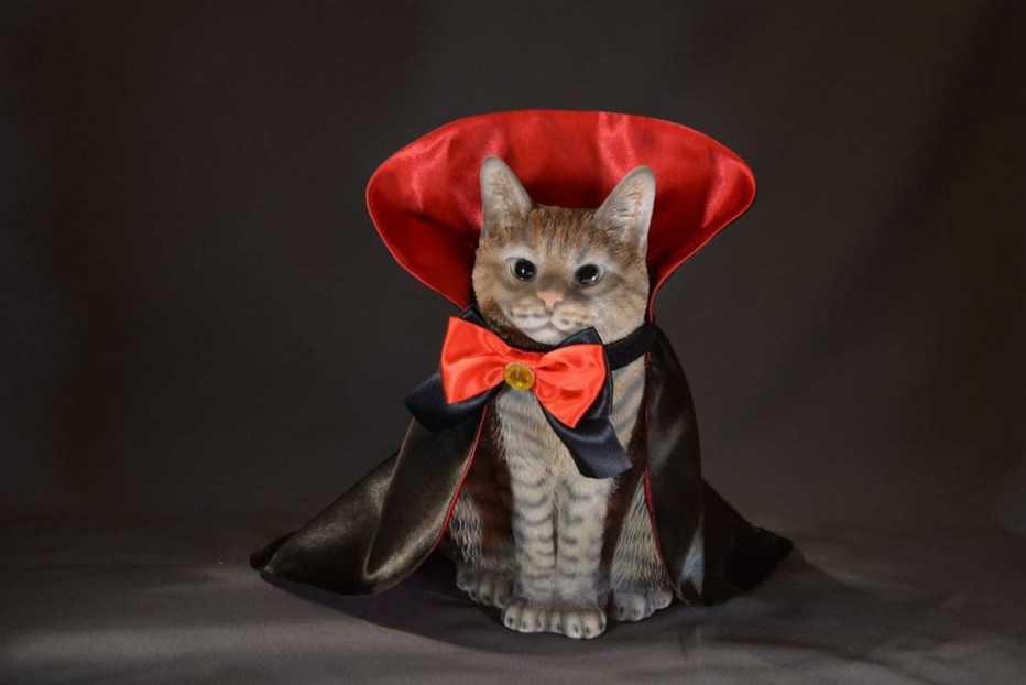 Костюм кошки