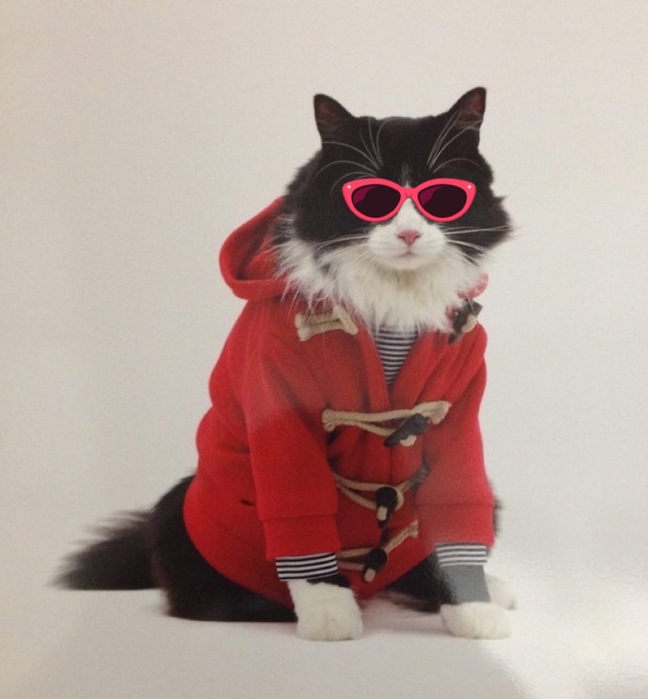 Котик в курточке