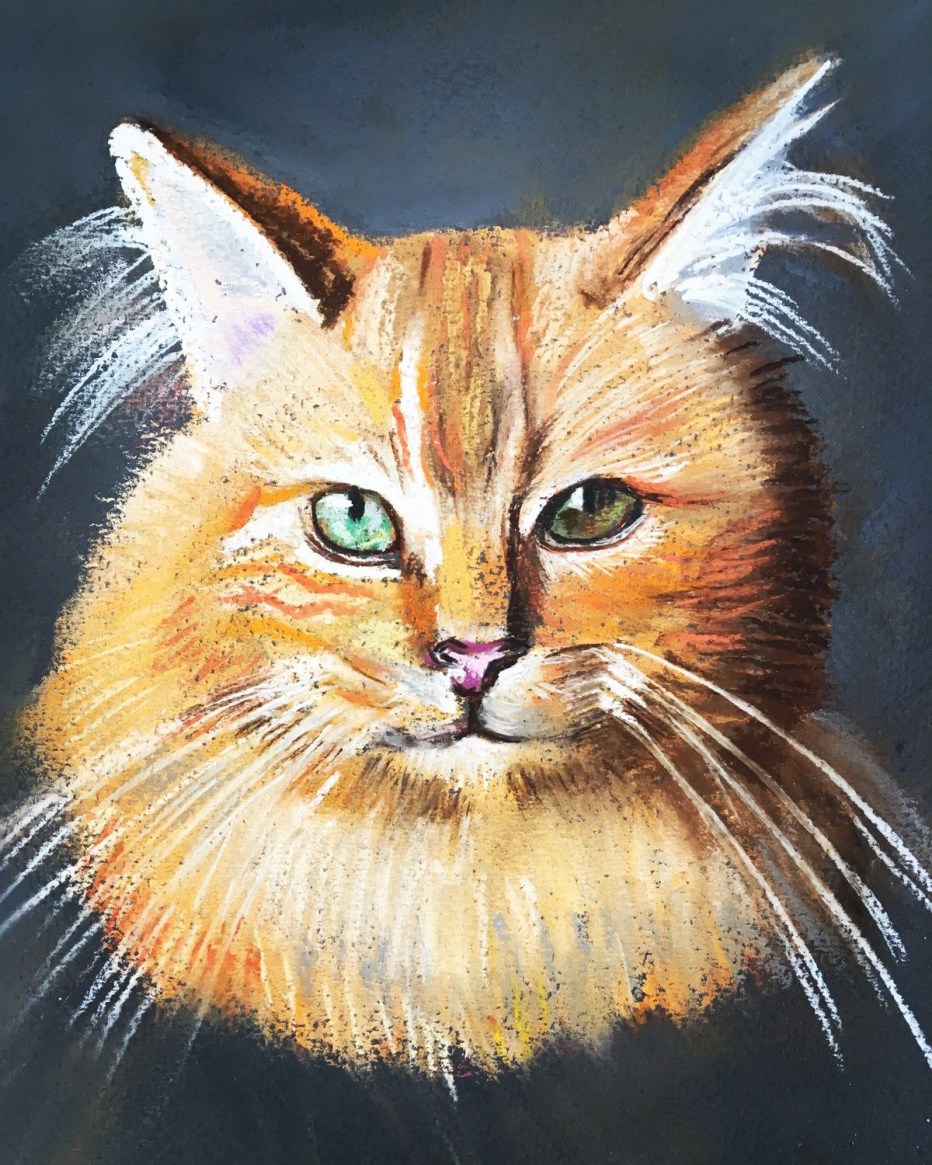Коты пастелью