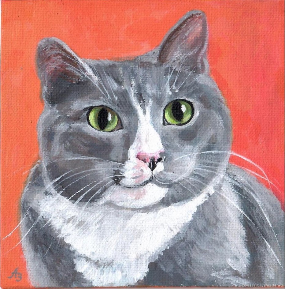 Кот итальянец