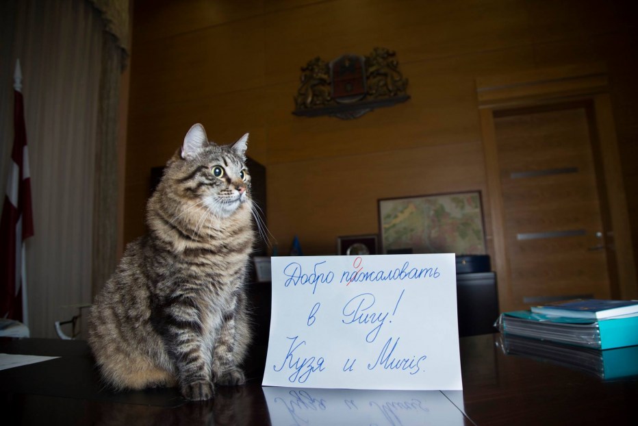 Коты в Рижской Думе.