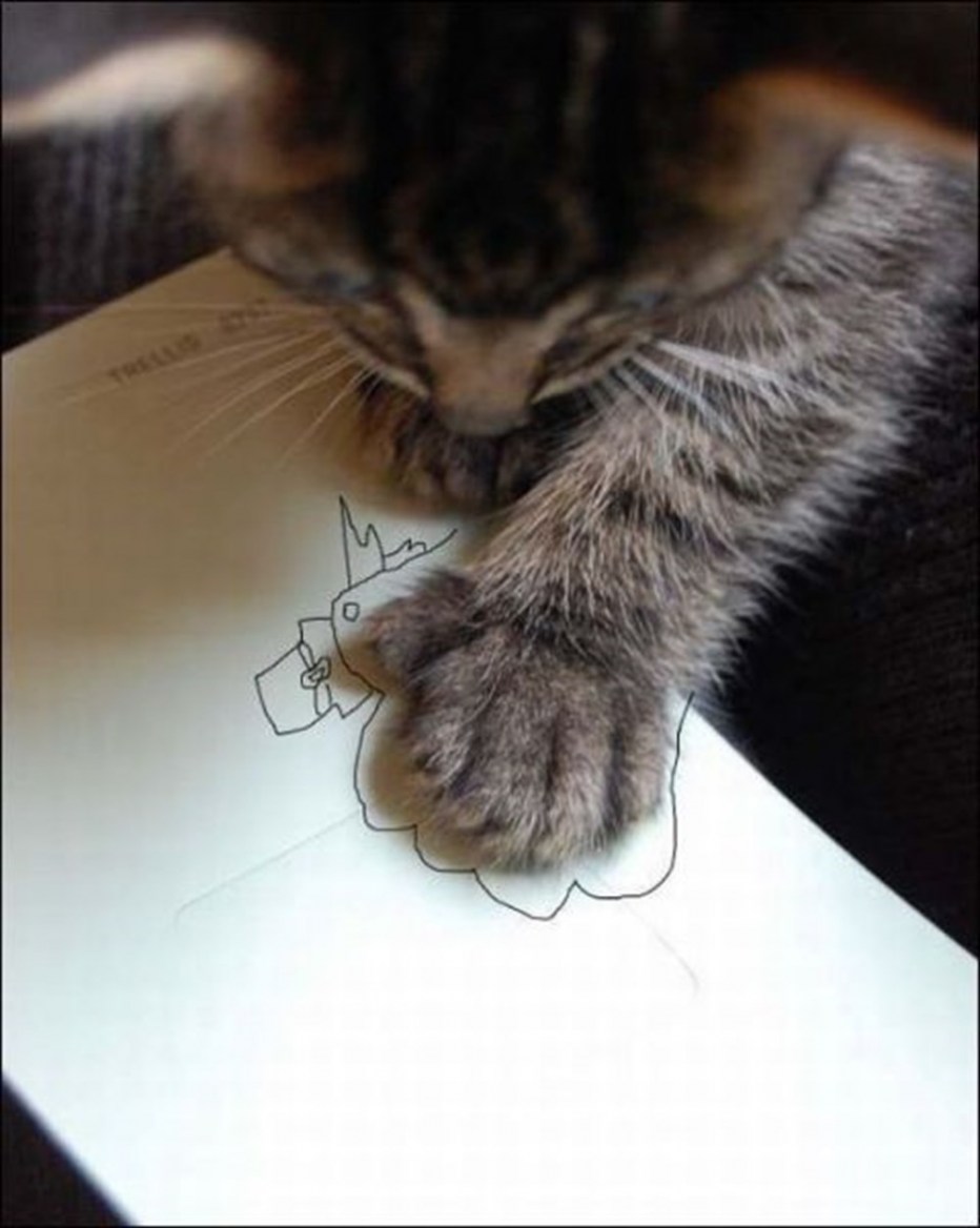 Кот положил лапу