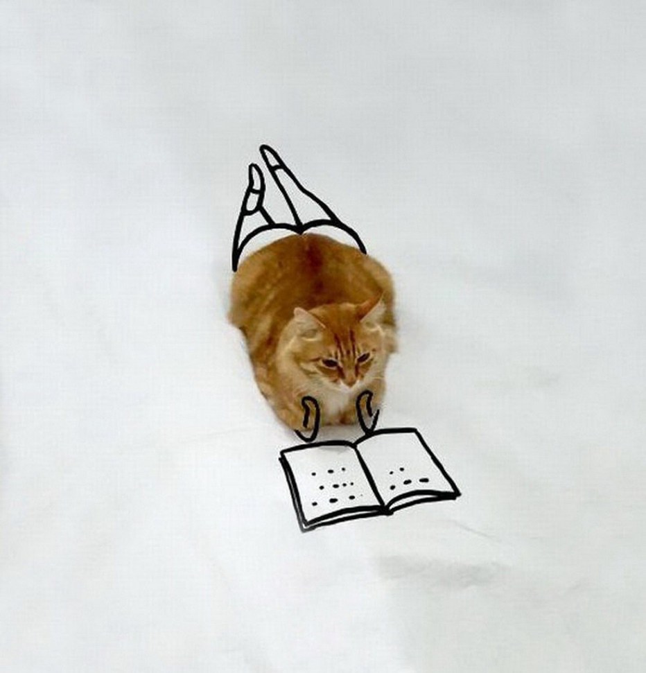 Прикол с котами дорисовка.