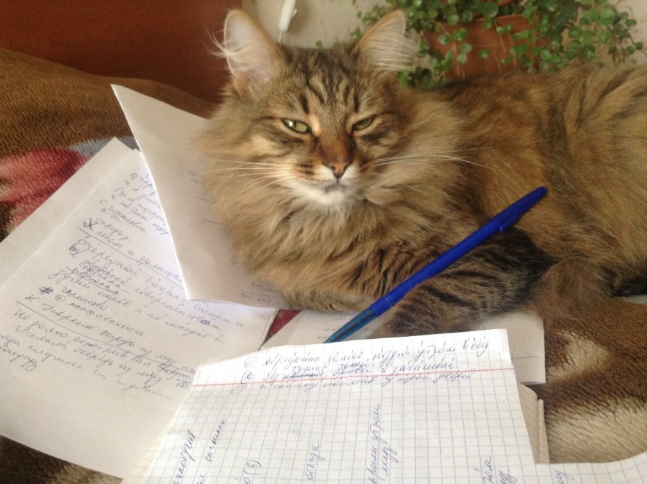 Тетрадь коты