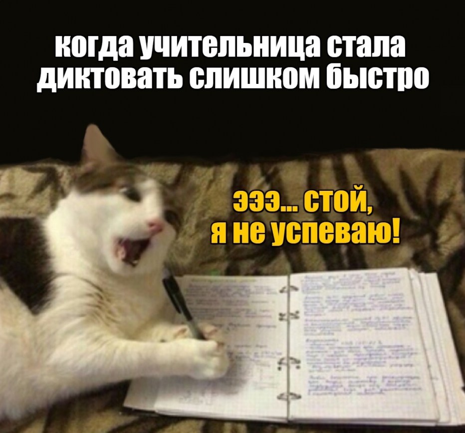 Приколы с животными на математике