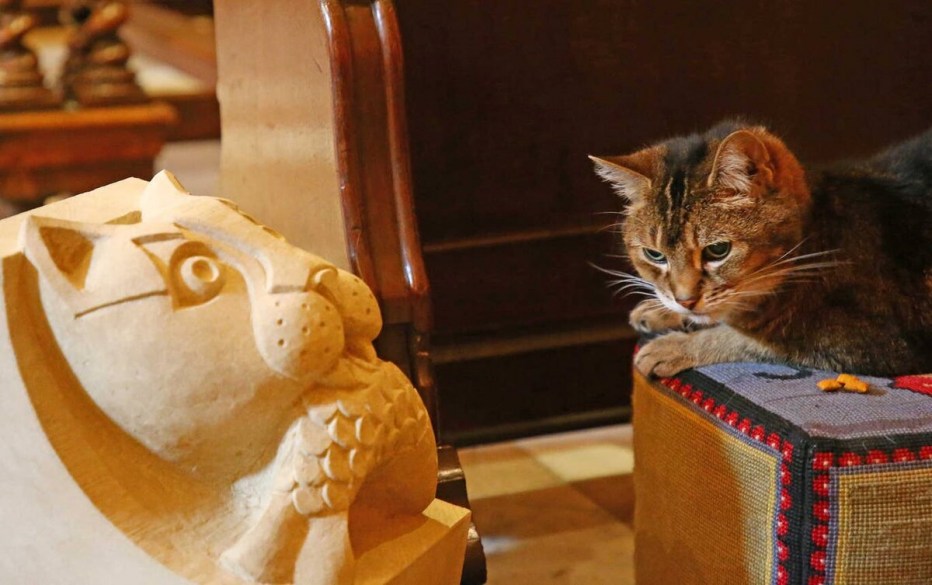 Кличка для черного кота