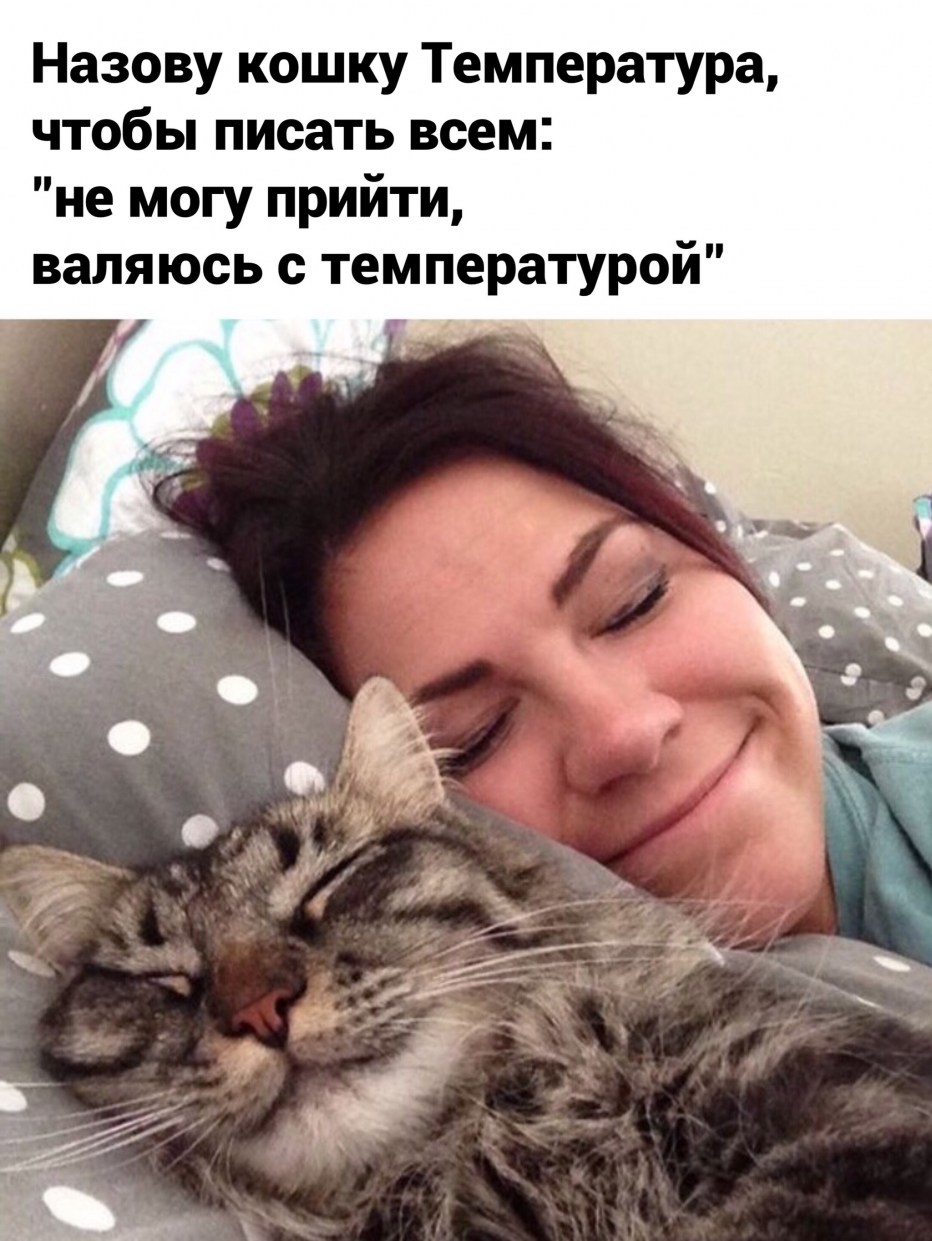 Котенок мальчик черно белый