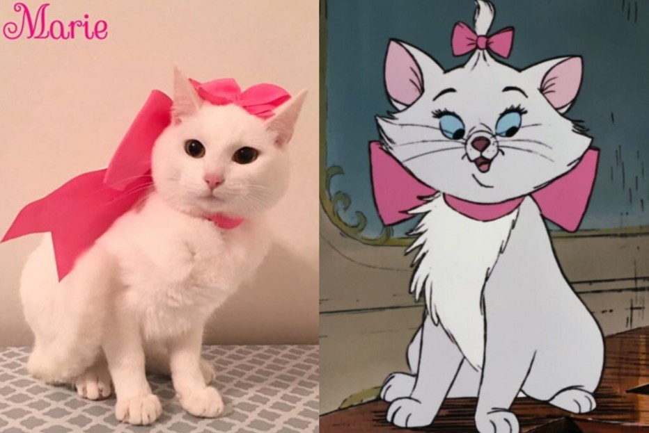 Кошка герцогиня коты Аристократы