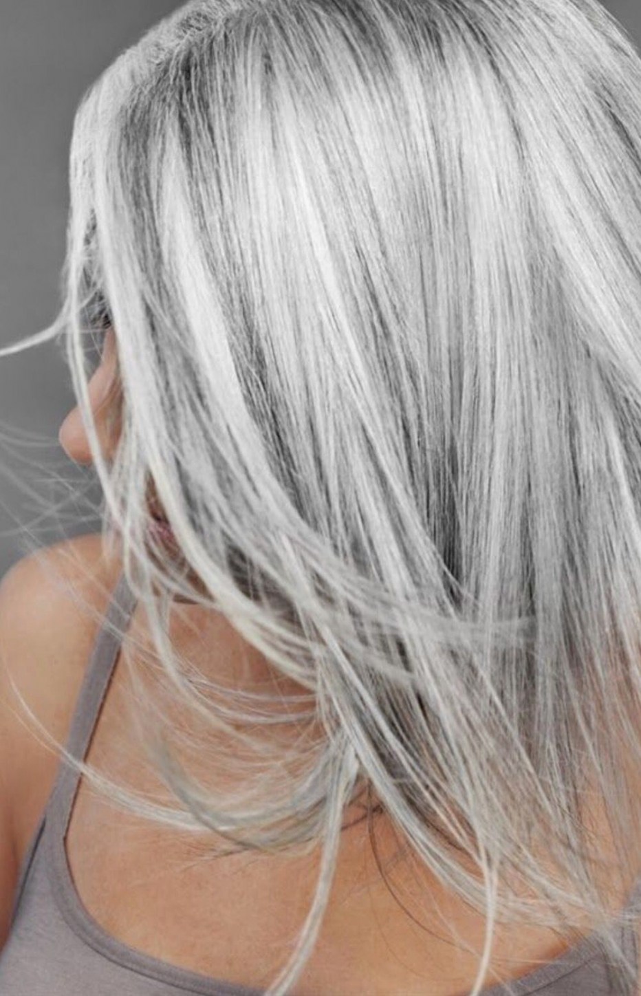 Сильвер грей ( Silver Gray )