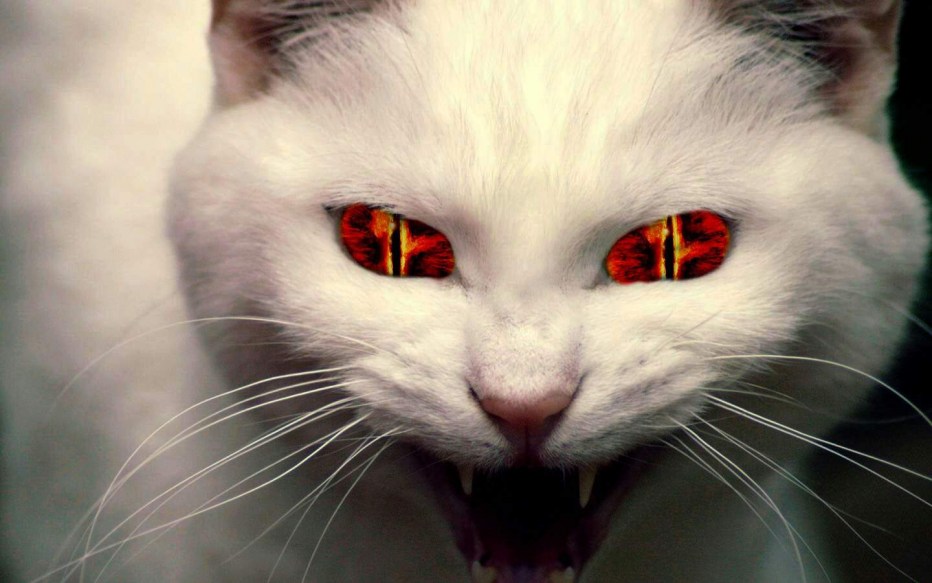 Зловещий кот