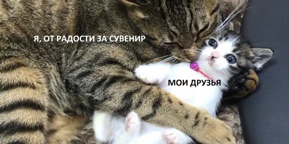 Коты обнимаются крепко