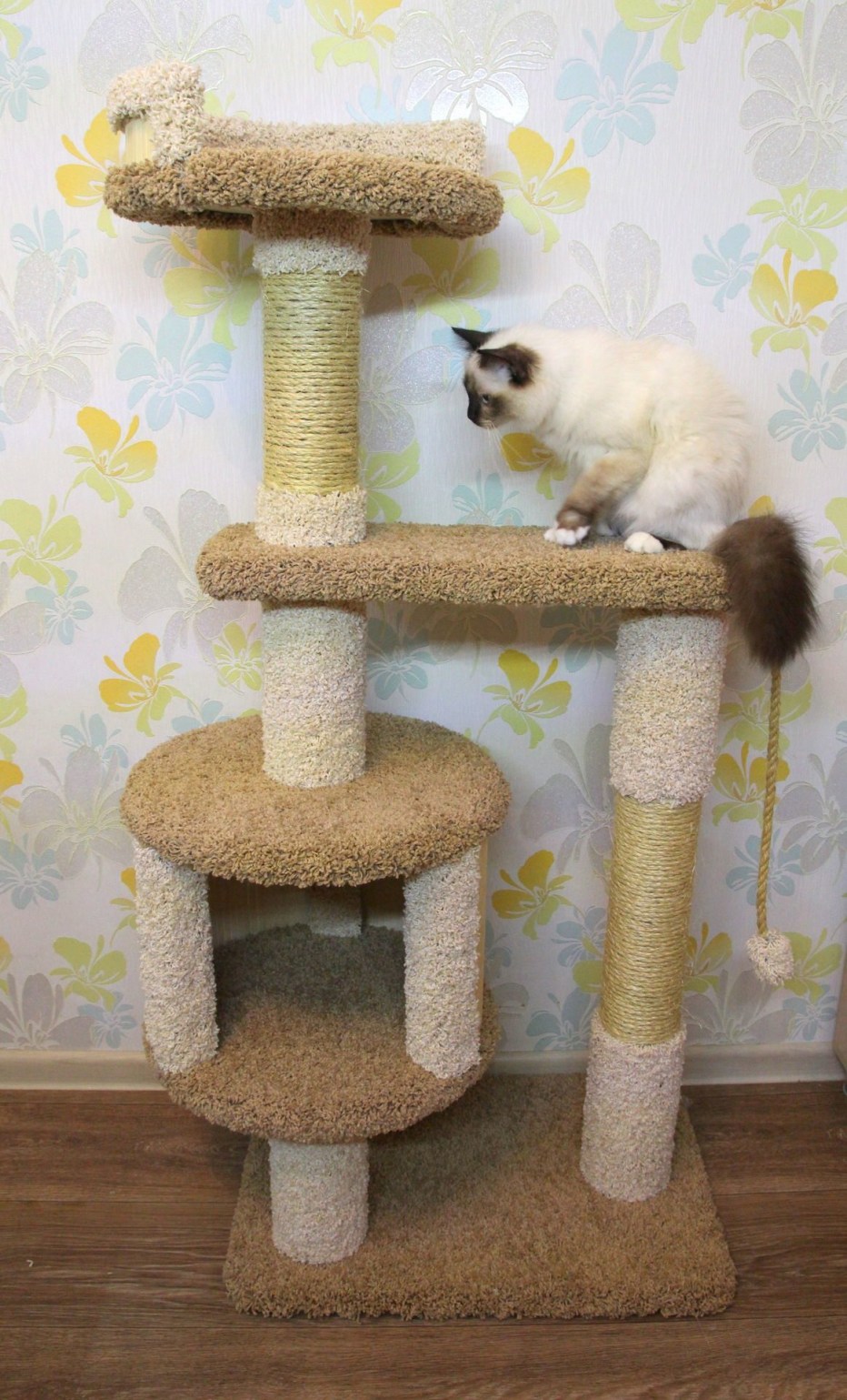 Кошачий домик